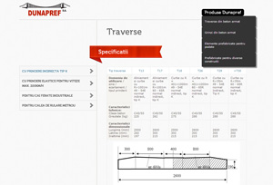 Web design - Infotel Systems